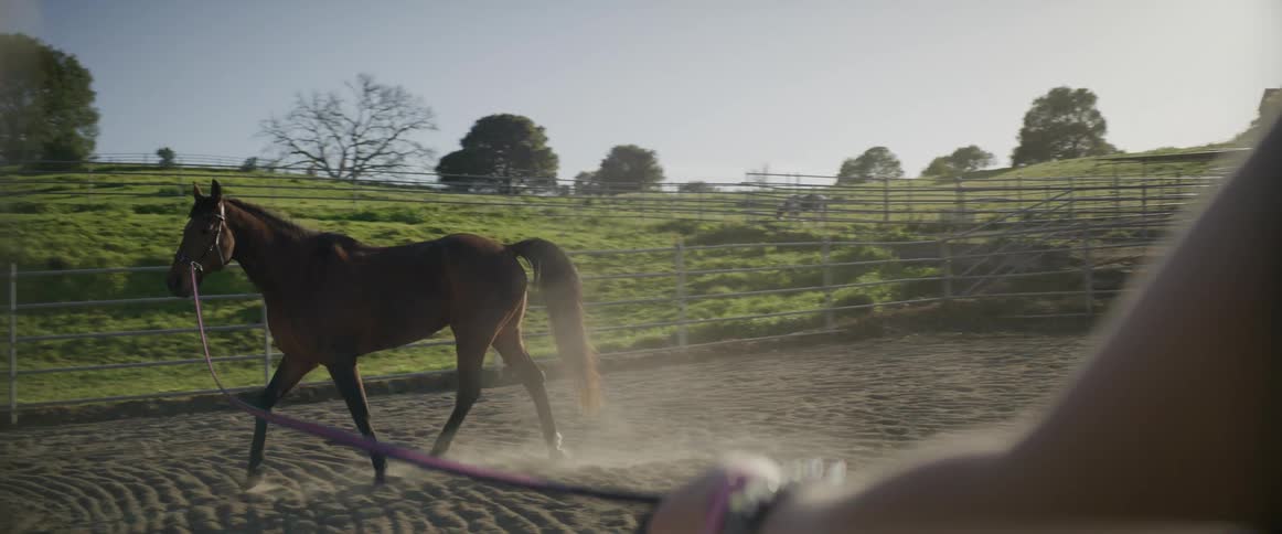 Person wearing bracelets guides horse around corral on long rope
