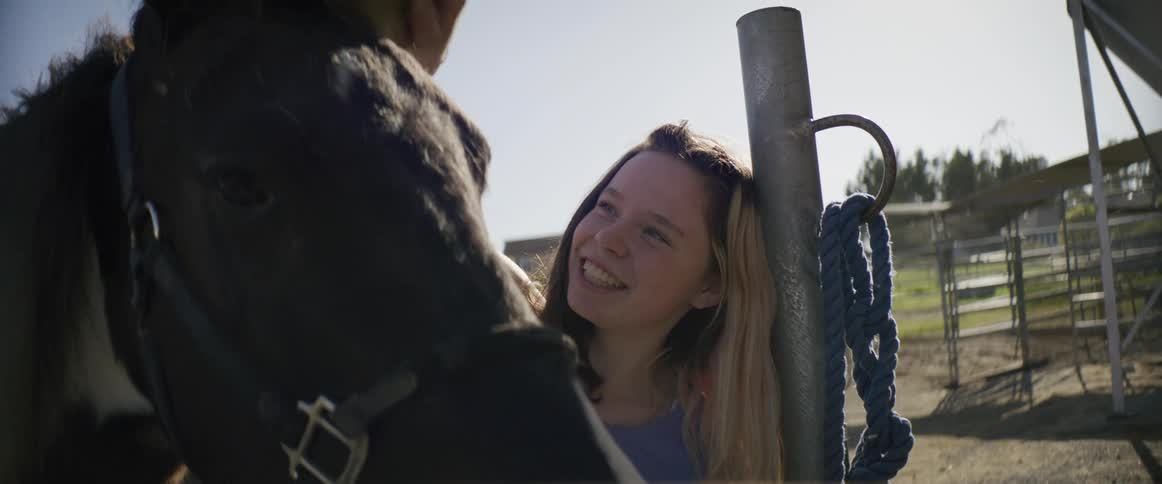 A girl is brushing the horse