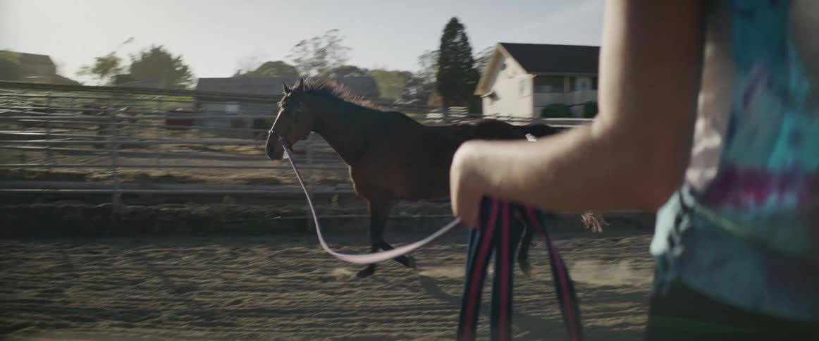 A woman is leading her horse around the field