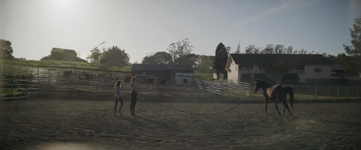 Two girls watch a horse run in a circle