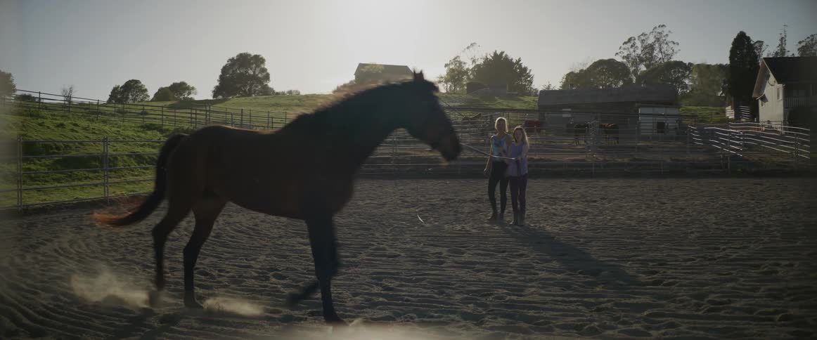 Woman helping a teenager to train a horse on a corral in a ranch at morning