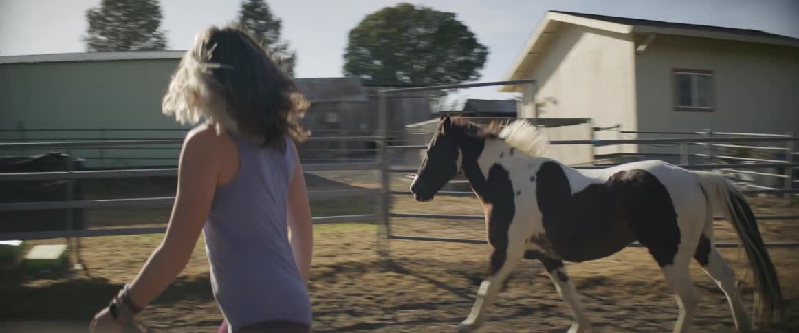 A horse gallops and walks around a paddock with his trainer walking in the center