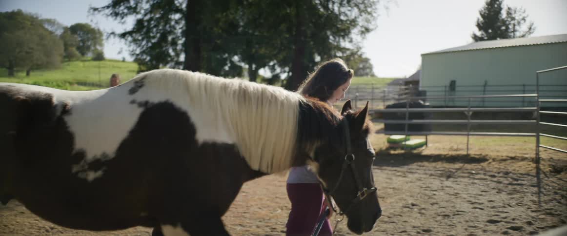 A young girl walks a horse around a pasture as another girl watches