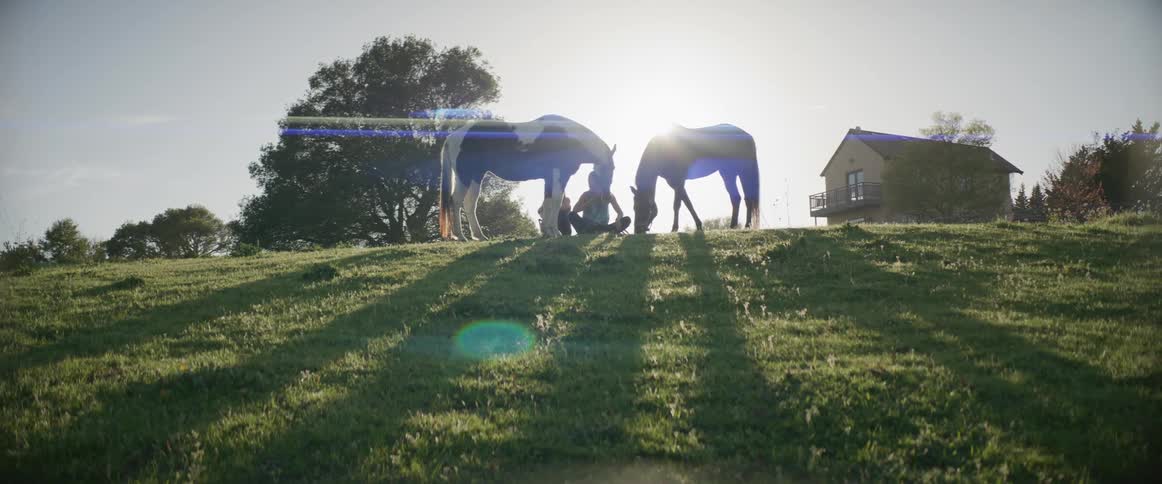 A woman sits near two grazing horses