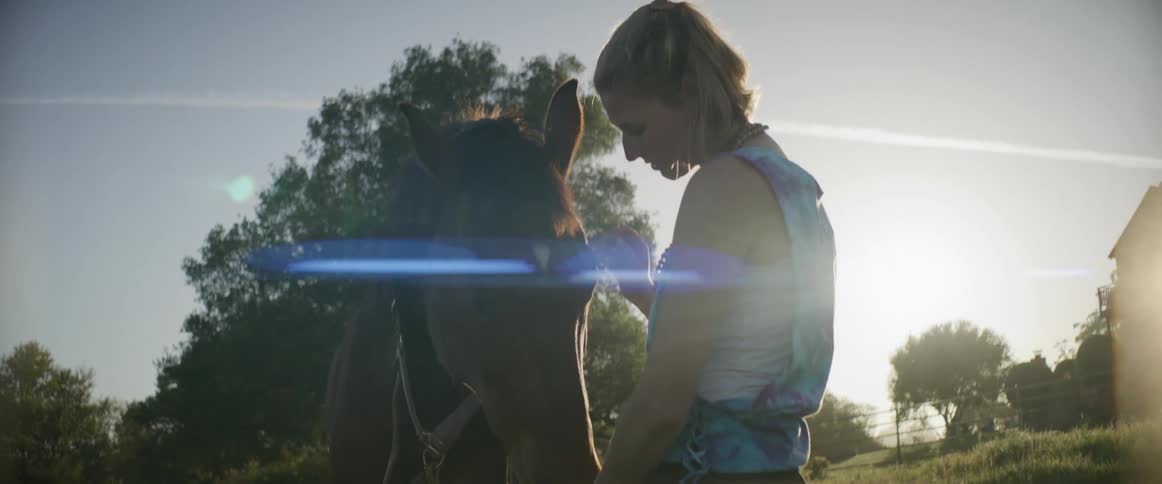 Woman with brown hair white and blue shirt touches brown horse in the countryside