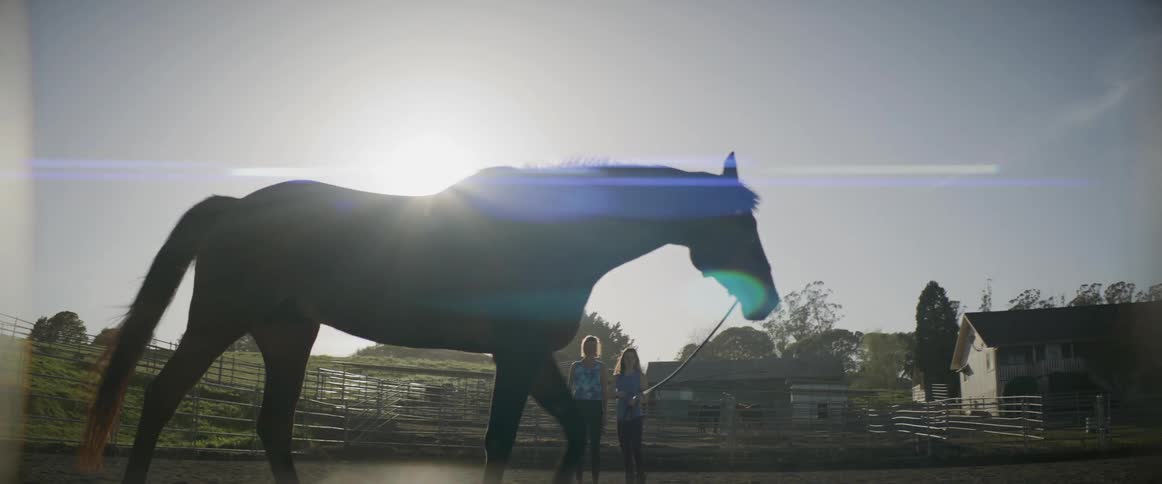 Two girls stand in a pasture and one girl holds reins as a horse walks