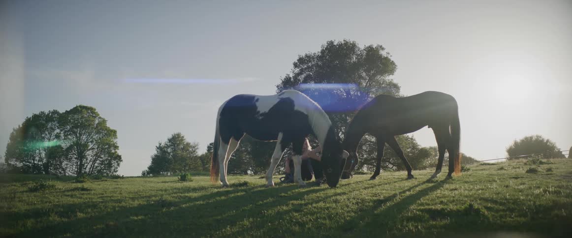 A pair of women sit in a field between a pair of grazing horses