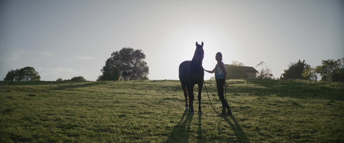 A woman petting a horse against the sunlight on a pasture in the countryside