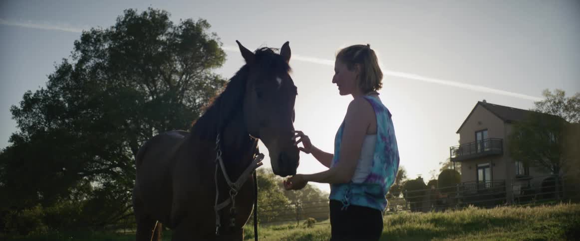 A woman petting and talking to a horse on a pasture in the country