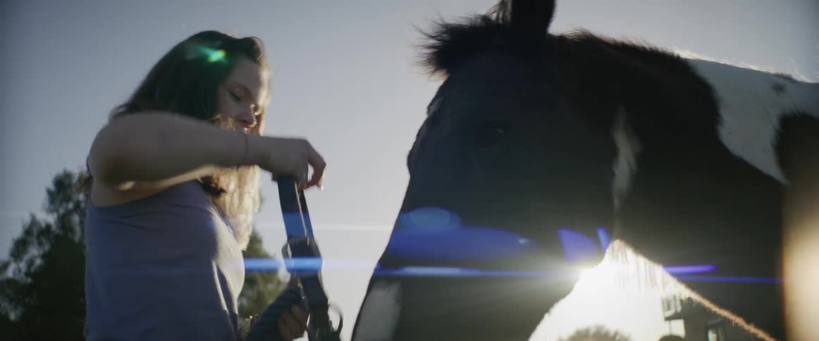 A woman is standing near a horse at a farm