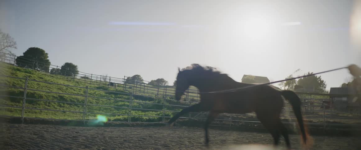 Two women outdoors with a horse
