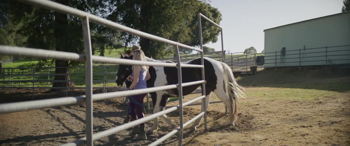 Two women walking with a horse outdoors