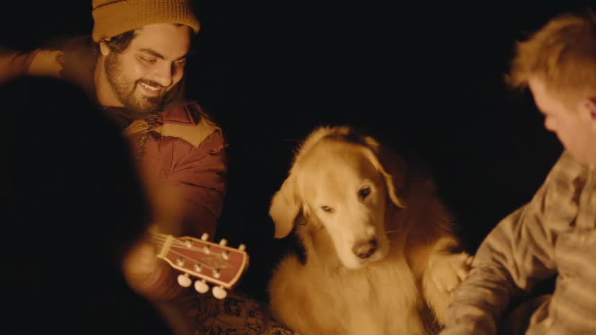 A golden retriever asking to be petted while hanging out at a bonfire with friends