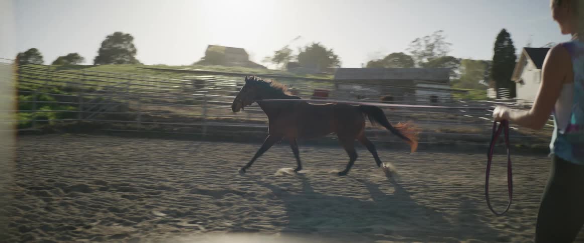 A woman holds a lead exercising a horse in a paddock