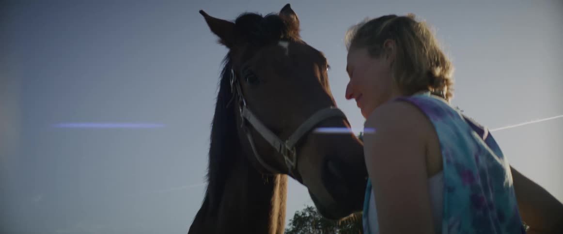 Woman with brown hair and white blue shirt kisses and touches brown horse in the countryside