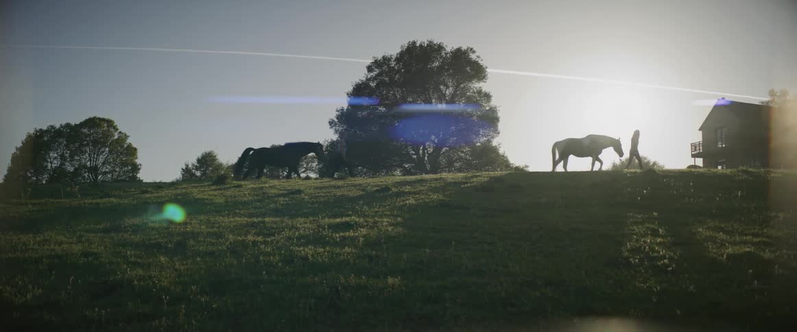 Two people silhouetted against bright sunlight lead horses along top of hill near house