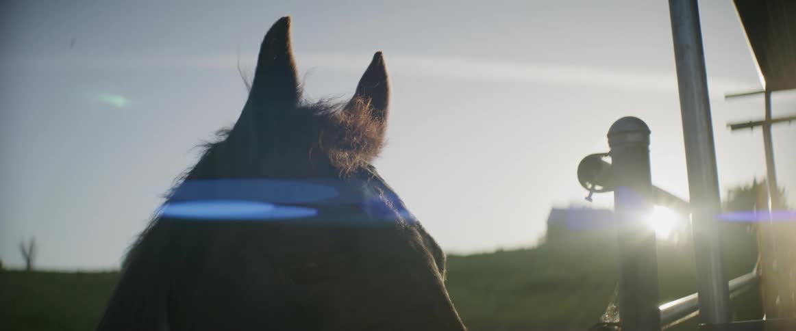 The horse is standing near the fence