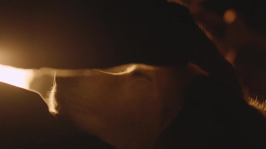 Sitting near campfire a person pets dog