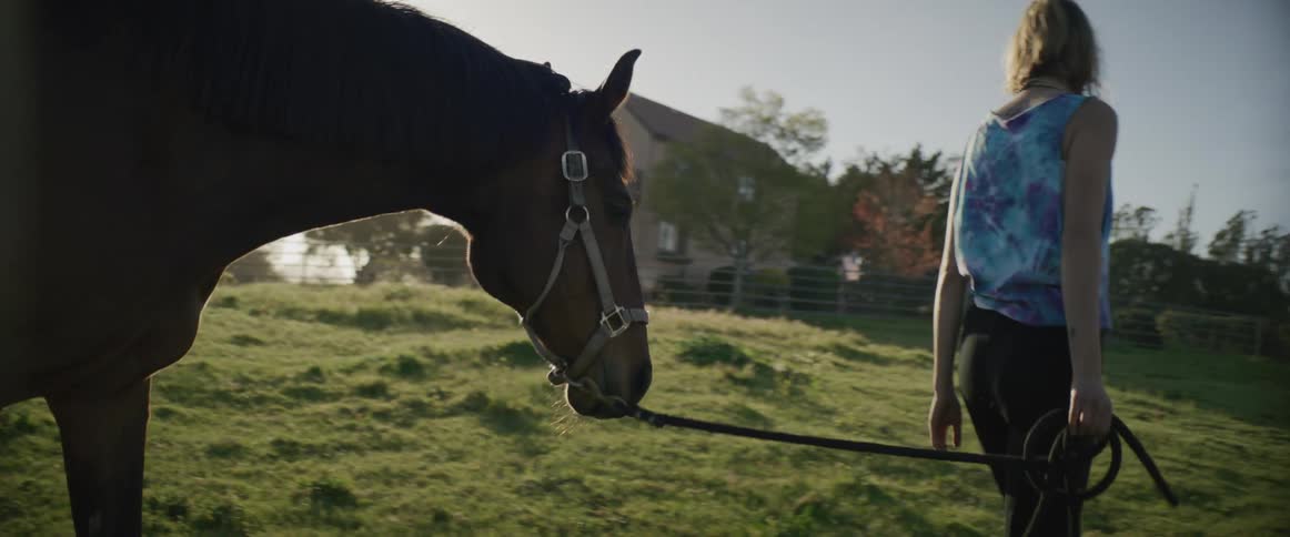 A woman leads a horse by the reins through a pasture during the day