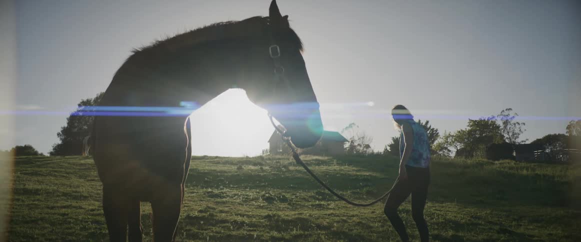 A woman leads her horse on the field