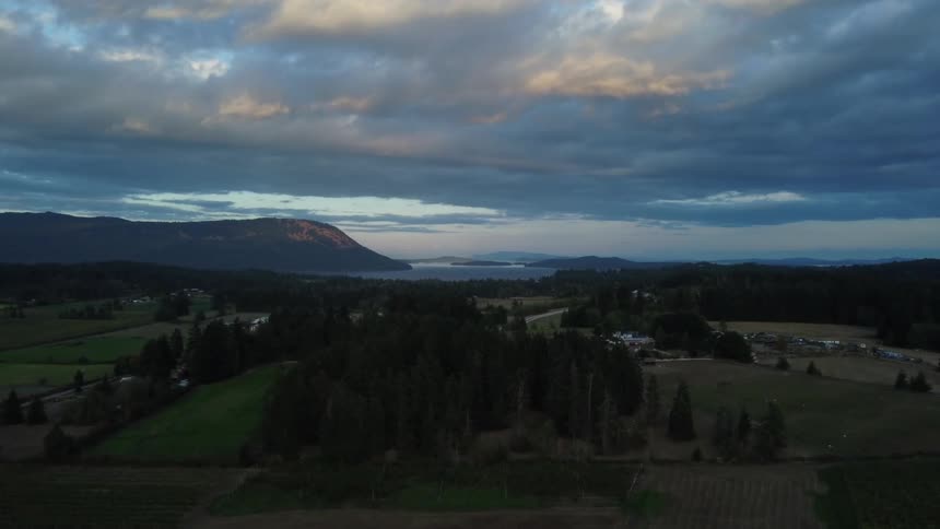Rural neighborhood surrounded by trees and forests along the coast and mountains in the distance under a cloudy sky
