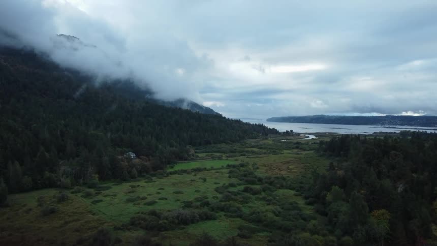 Fog rises from trees in forest on the side of a mountain along the coast and under a cloudy sky