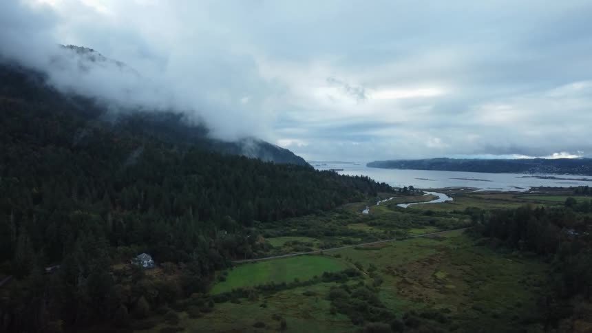 Fog rises from trees in forest on the side of a mountain along the coast under a cloudy sky