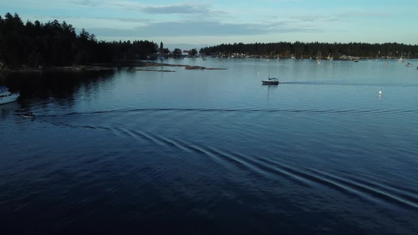 A motorboat leaves a rippling wake as it travels toward docked boats