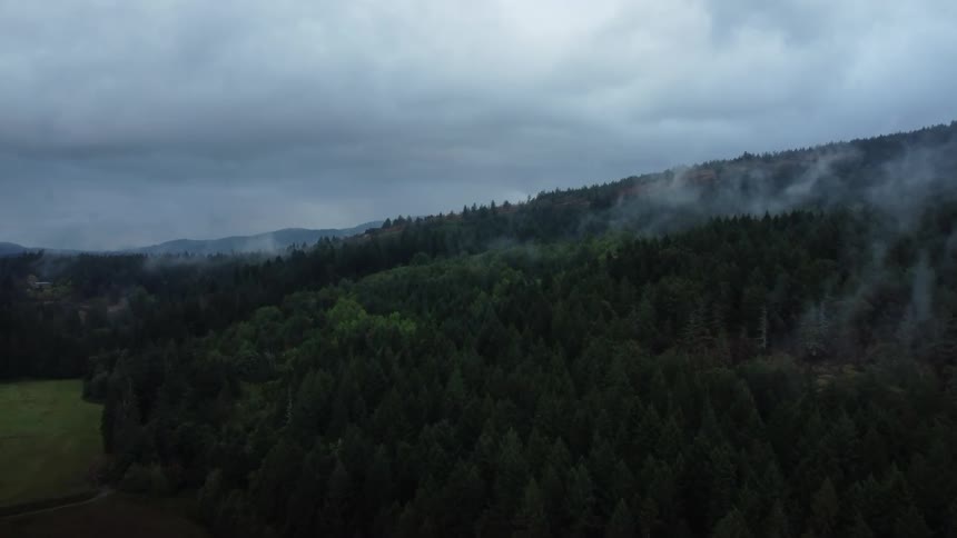 Vapor clouds hover near conifer forest covering mountains surrounding grass valley under an overcast sky