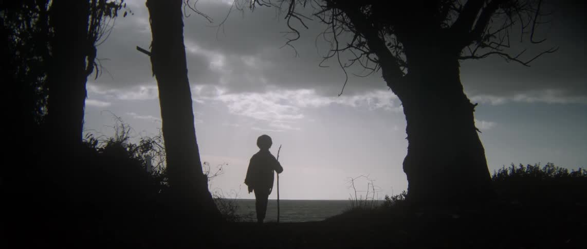 A child walks towards the ocean