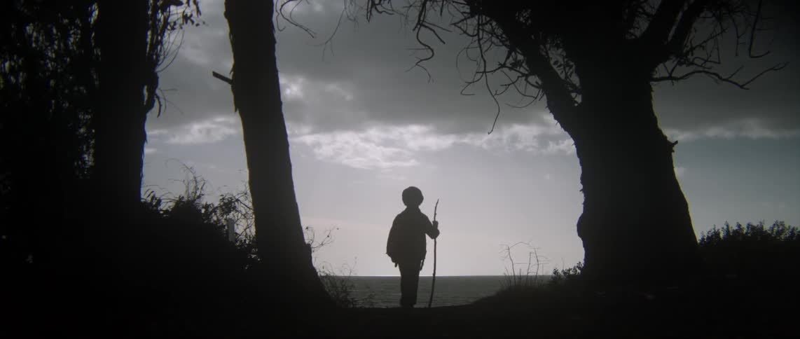 A boy walks with a stick in his hand