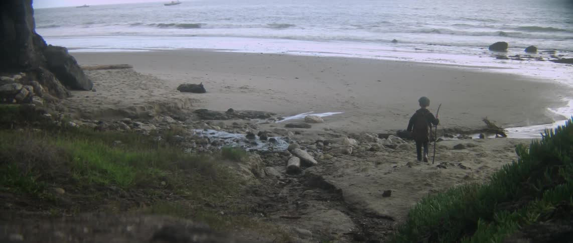 A boy with a stick is walking towards the water