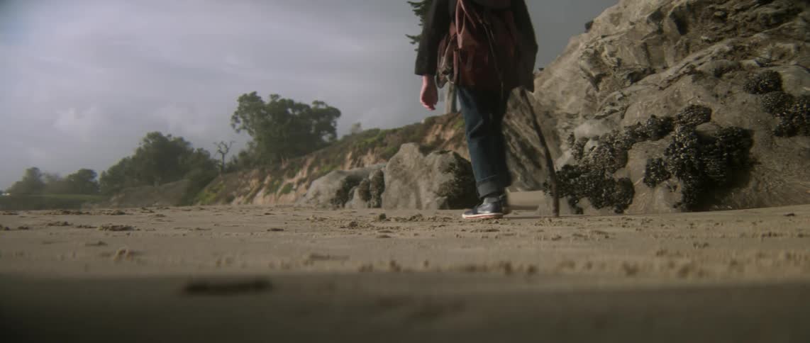 A young boy hikes with a walking stick while birds fly overhead