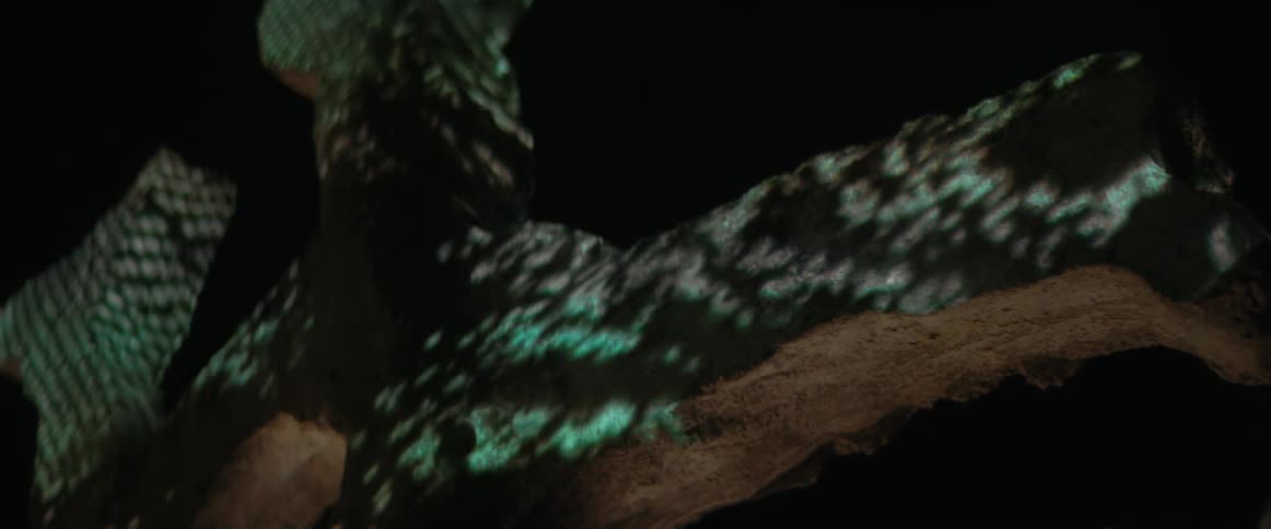 The lights are flashing on the stone