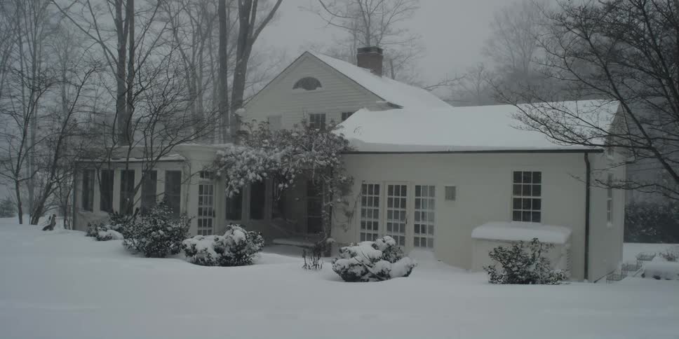 Snow is coming down around a house in a strong winter storm