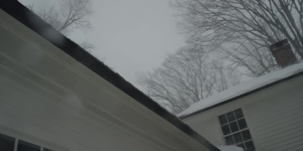 Snow swirls over two story house standing near leafless trees