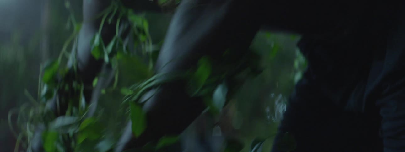 A man is has vines around his arms
