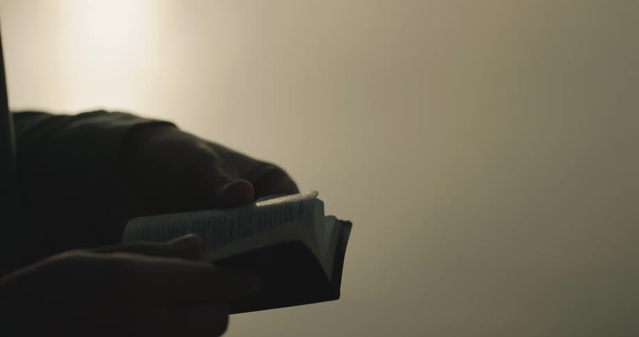Person stands reading a small book