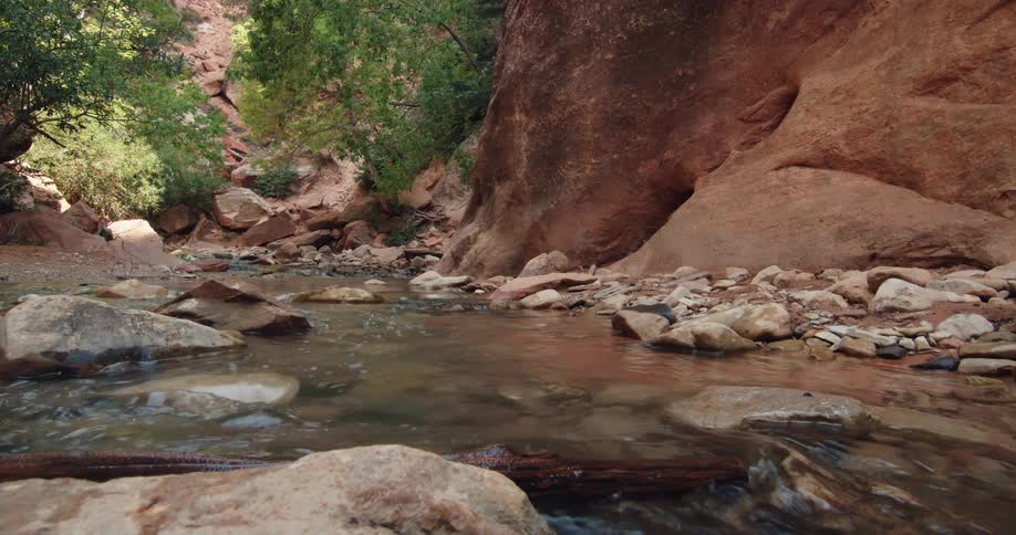 A stream flows over rocks in the wilderness during the day