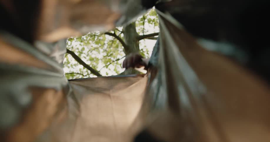 People throw garbage in the trash