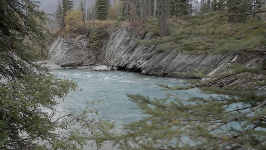A stream has a short cliff around it with trees above