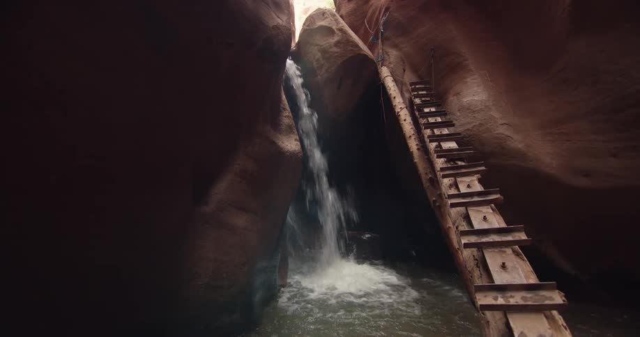 Small water falls into puddle near makeshift ladder propped against fallen tree in crevice