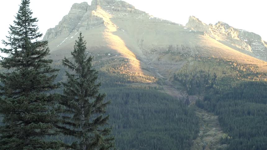 Trees stand before a tall mountain behind it