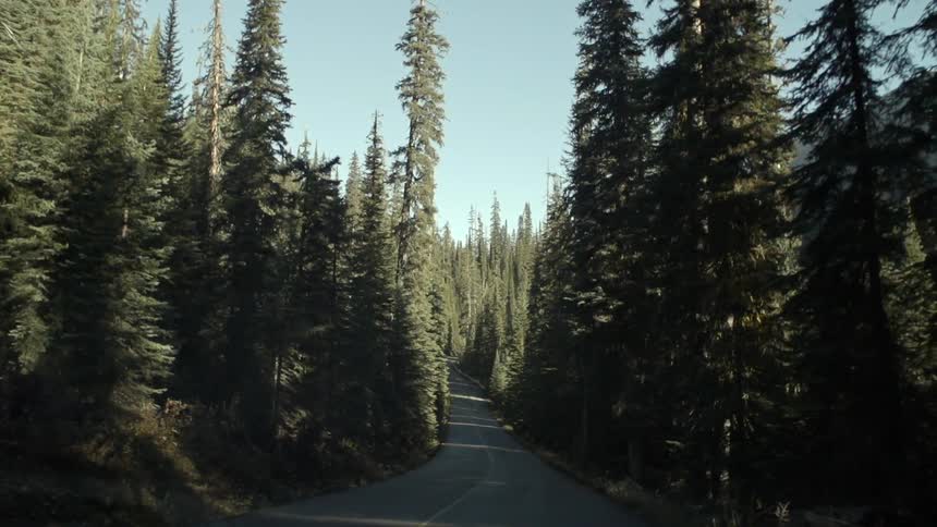 Moving down a small road with forests on either side