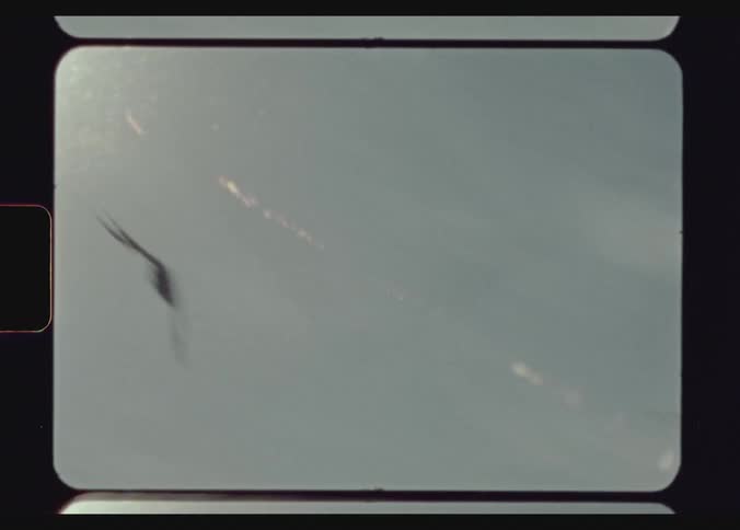 Large birds fly back and forth toward each other in the sky