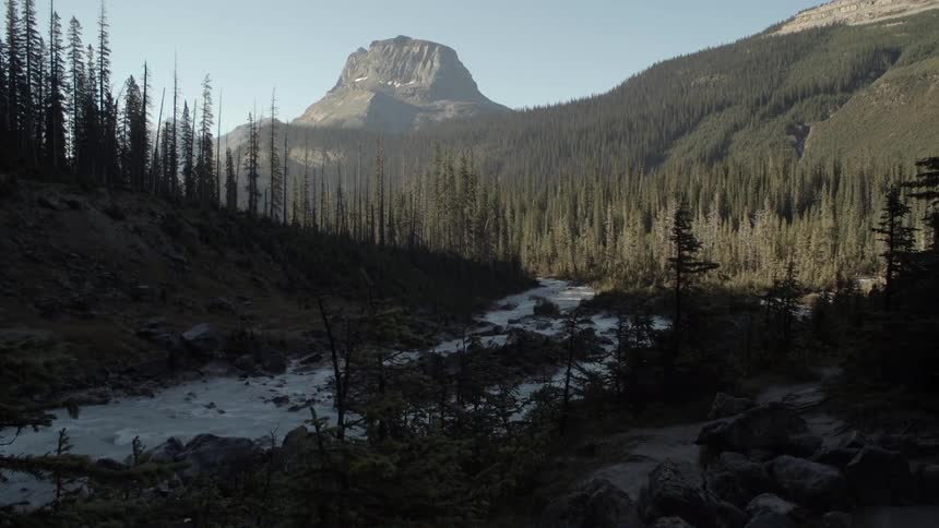 A river cutting through a forest at the base of a mountain