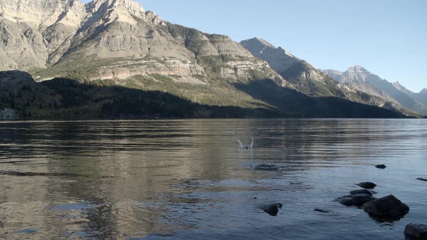 An object splashes in the water of this lake in a few spots