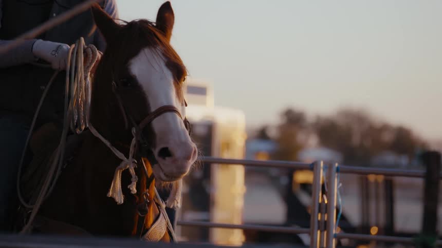A person pets the mane of a horse while riding it in a corral in the evening