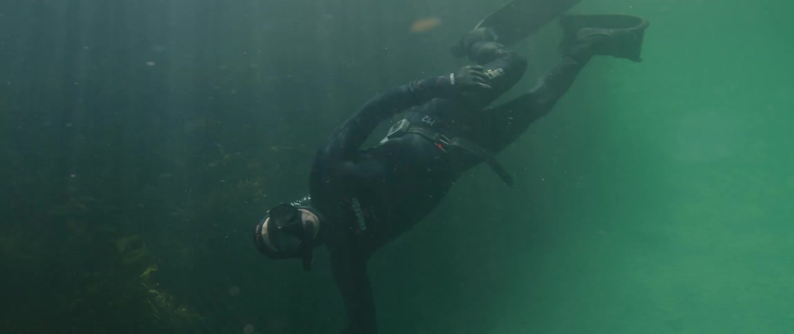 A man is snorkeling underwater