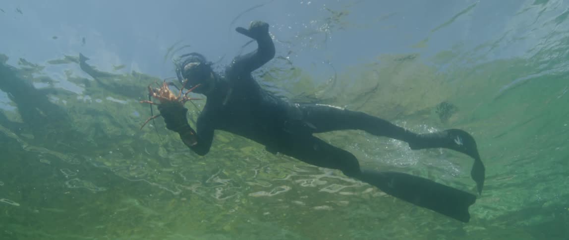 A scuba diver is holding a crab as he paddles through water